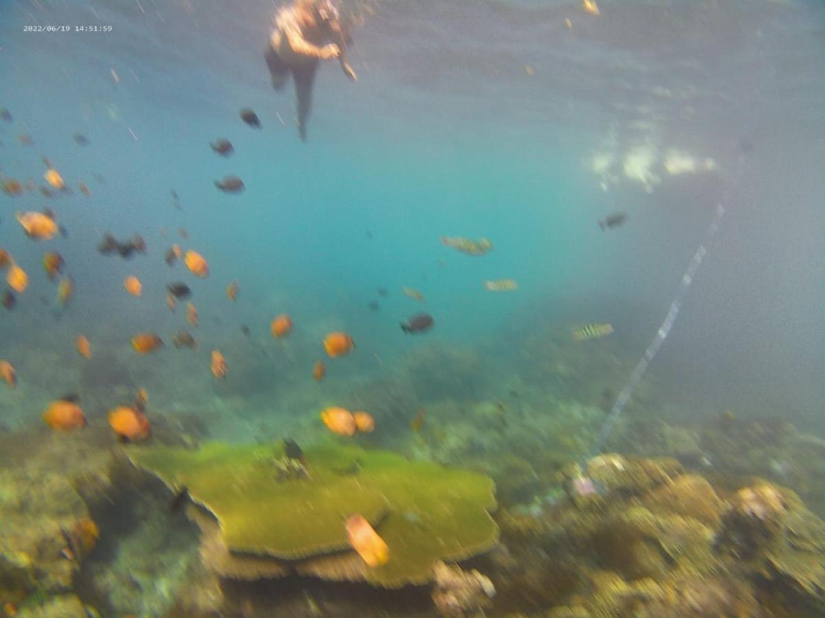 Agung Pring Homestay Batununggul エクステリア 写真